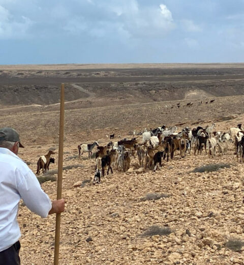 Karneval in Puerto del Rosario