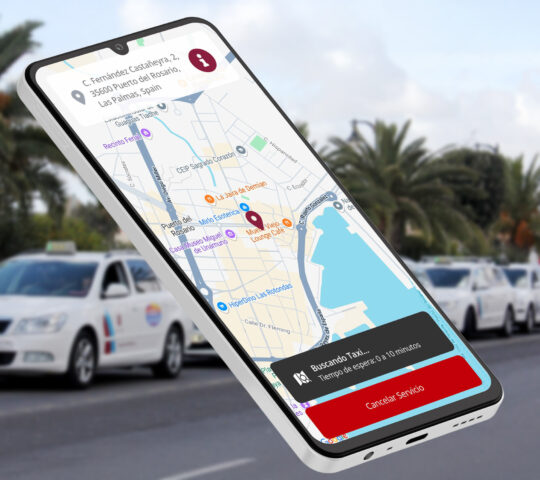 Secundino Alonso Taxi rank