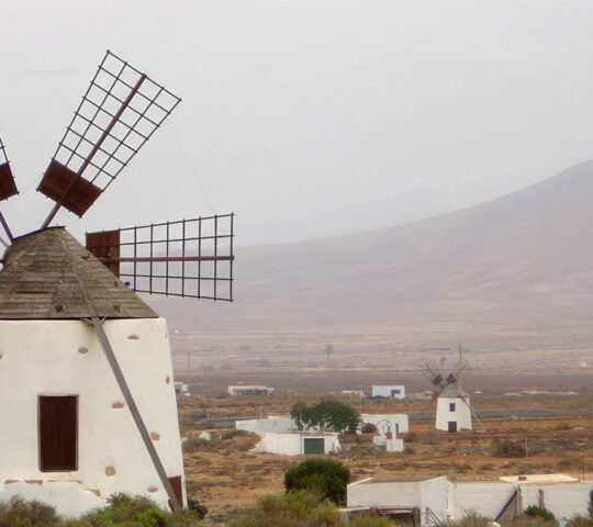 Llanos de la Concepción